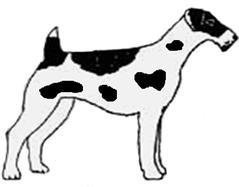 окрас-пятнистый