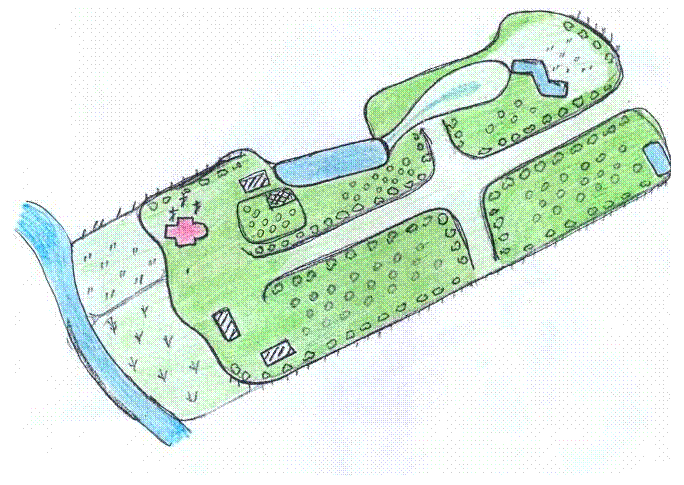 �������: