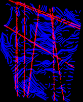 ����������