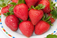 Земляника садовая Эвис Делайт