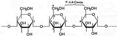 http://*****/biologhim/bio/img428.jpg