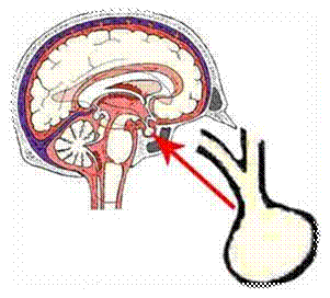 ��������: ��������: C:\Users\admin\Desktop\�������\������� � 13 ������� � ������� ���������� �������.files\image006.jpg