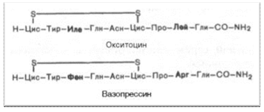 ��������: ��������: ��������: ��������: ��������: ��������: ��������: ��������: ��������: ��������: http://*****/biologhim/bio/img594.jpg