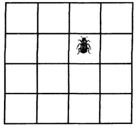 �������� ��������, ����, ����������, ��������������