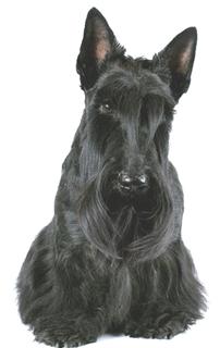 �����������_�����2