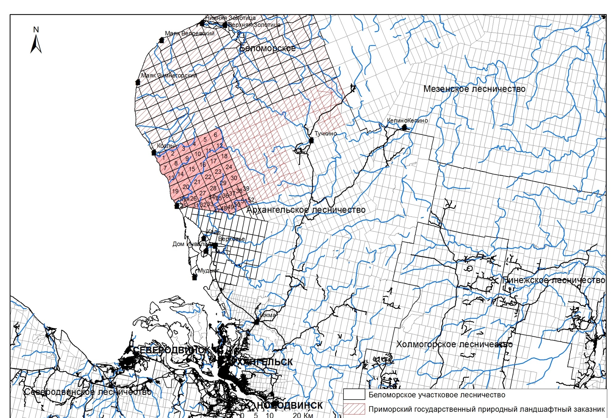 прионежское лесничество